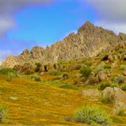 Richtersveld Cultural and Botanical Landscape