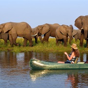 Zambian Walking Safari