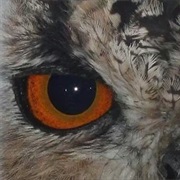 Shrepreth Wildlife Park