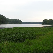 Huntsville State Park, Texas