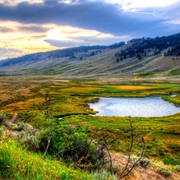 Visit Yellowstone National Park, USA