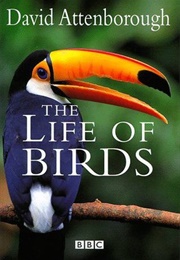 The Life of Birds (David Attenborough)