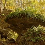 Snake Den State Park, Rhode Island