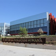 Museo De La Evolución Humana, Burgos