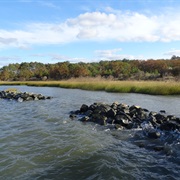 Holts Landing State Park