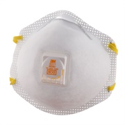 N95 Face Mask