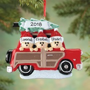 Pick a Special Ornament for the Year