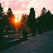 Žale Central Cemetery