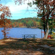 Ramsey Lake State Recreation Area, Illinois