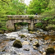 Shaugh Bridge