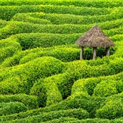 Glendurgan Garden, England