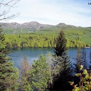 Lac Pavin, Besse-Et-St-Anastaise, France