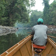 Kalimantan (Indonesian Borneo)