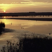 Minsmere