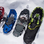 Modern Snow Shoes