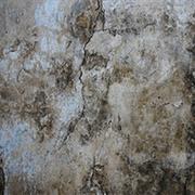 Applied Anti-Fungal Solution to a Damp Wall