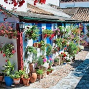 Cordoba's Patios, Spain