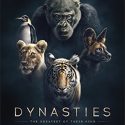 Dynasties