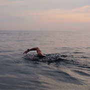 Swam Across a Lake and Back