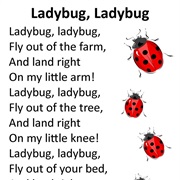 Ladybird Ladybird