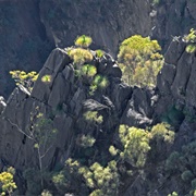 Bungonia National Park (NSW)