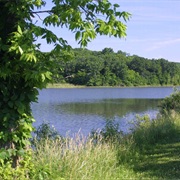 Nine Eagles State Park, Iowa