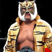 Tiger Mask