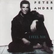 Peter Andre - I Feel You