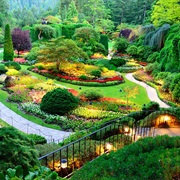 Marine Life, Gardens, & Hiking on Vancouver Island, Canada