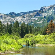 Washoe Meadows State Park, California