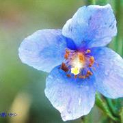 Best Romance Books Your [Ahem] Friends Have Read