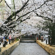 Pick Your Moment in Ponto-Cho