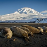 Heard and Mcdonald Islands Territory