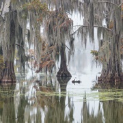 Atchafalaya Basin, USA