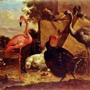 Gillis D'hondecoeter