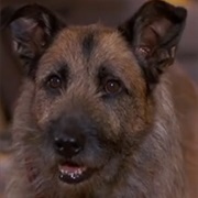 Rocks (Look Who's Talking Now)