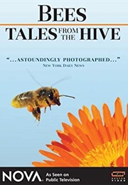 NOVA:  Bees - Tales From the Hive (2007)