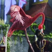 Flamingo