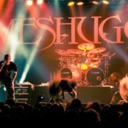 Meshuggah