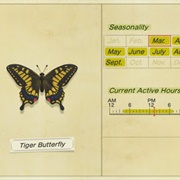 Tiger Butterfly