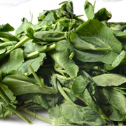 PEA LEAVES