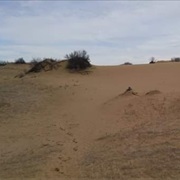 Douglas Provincial Park Sand Dunes