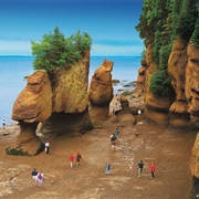 The Highest Tides in the World Occur in the Bay of Fundy