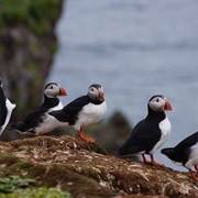 Visit Baffin Island (NU)