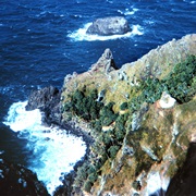 Pitcarin Island