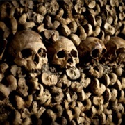 Catacombs of Paris ($$)