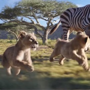 I Just Can't Wait to Be King