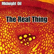 The Real Thing - Midnight Oil
