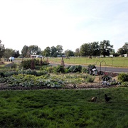 West Pasco, Washington