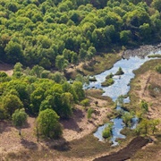 Meinweg National Park